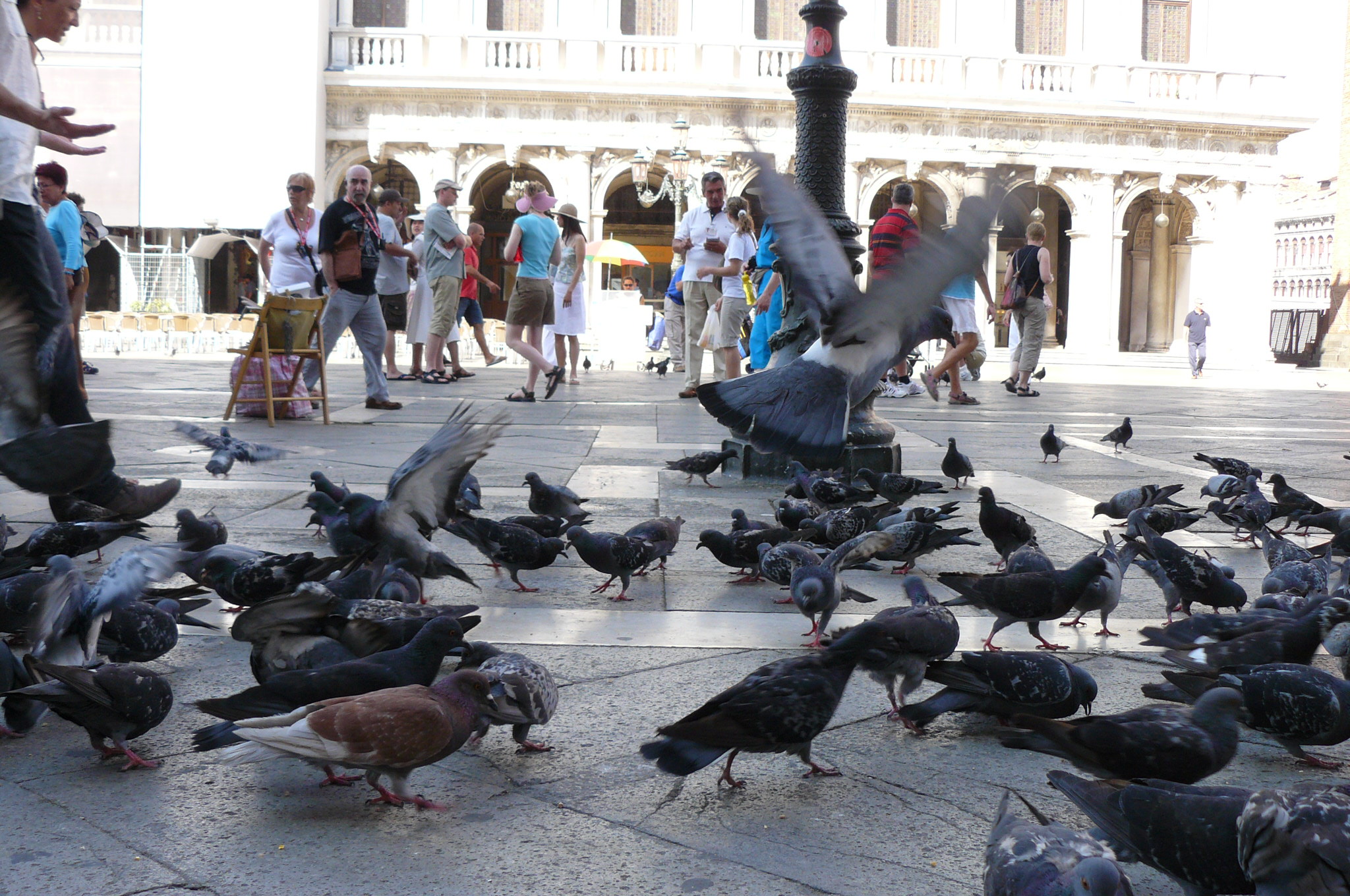 Venise Venezia Fond Ecran Gratuit Galerie Photos Libres De Droits