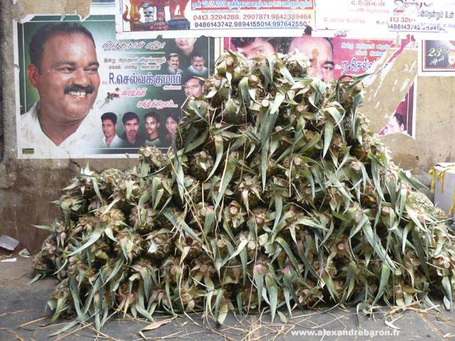 Ananas marché de Pondy